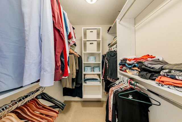 N17W26535 Meadowgrass Cir Unit G, Pewaukee, WI 53072 - spacious closet with carpet floors