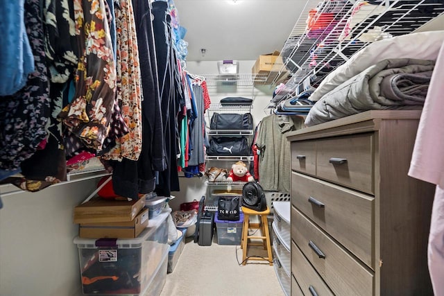 1507 Clarence Ct Unit 5, West Bend, WI 53095 - view of spacious closet