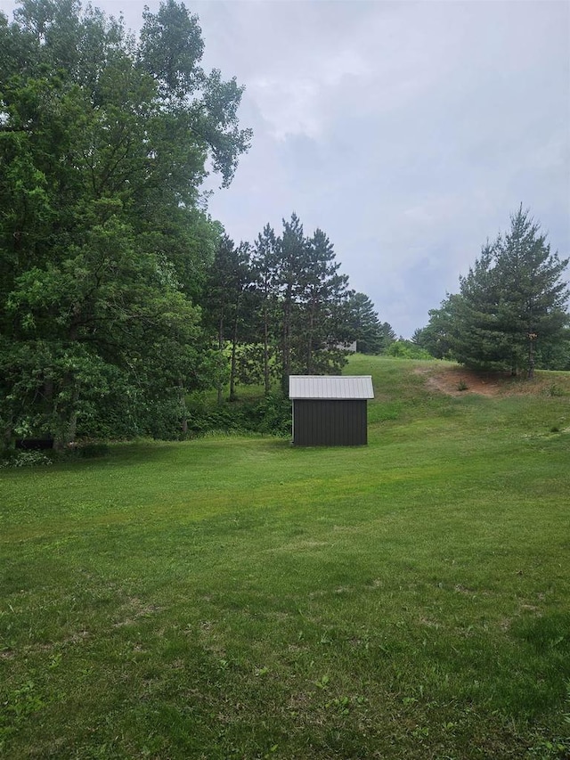 5317 Old C Rd, Boscobel, WI 53805 - view of green lawn