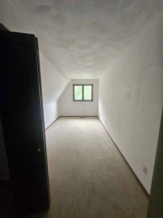 5317 Old C Rd, Boscobel, WI 53805 - additional living space featuring light carpet, vaulted ceiling, and baseboards