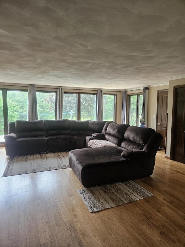5317 Old C Rd, Boscobel, WI 53805 - living area featuring wood finished floors and plenty of natural light