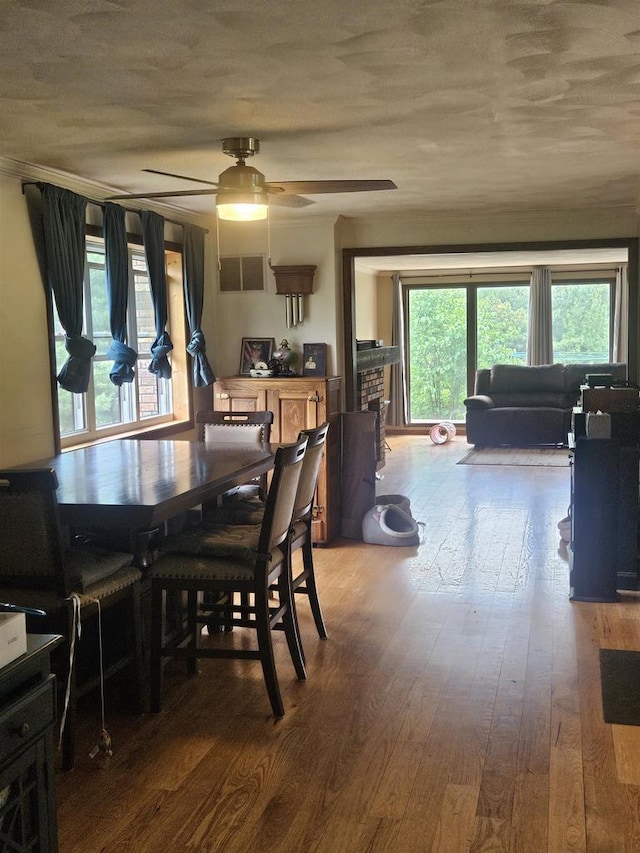 5317 Old C Rd, Boscobel, WI 53805 - dining space with healthy amount of natural light, wood finished floors, and a ceiling fan