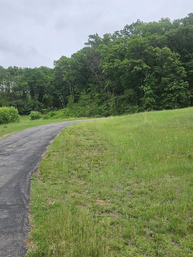 5317 Old C Rd, Boscobel, WI 53805 - view of road with a view of trees