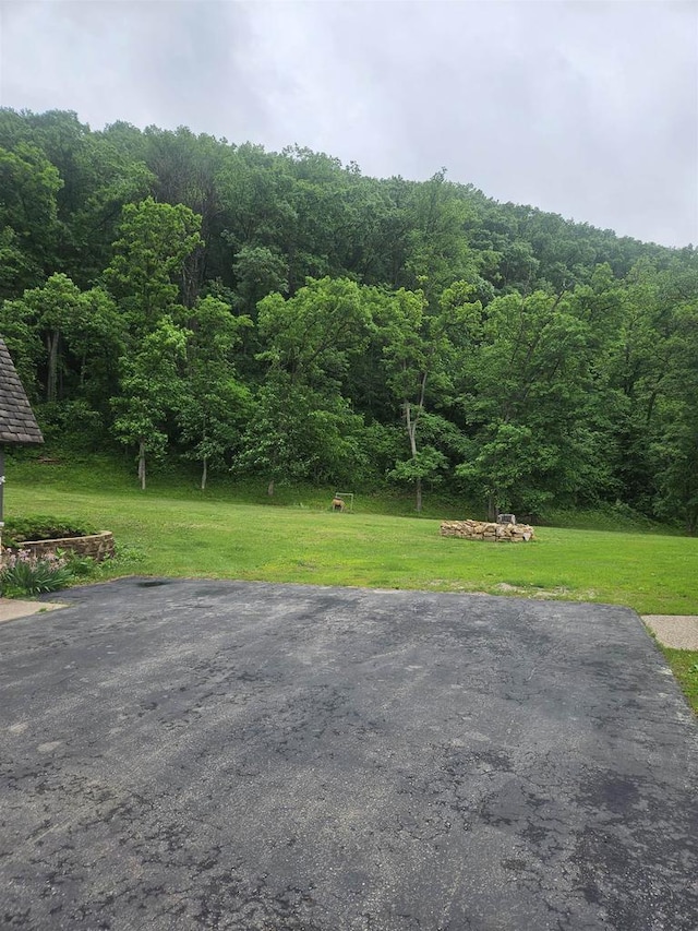 5317 Old C Rd, Boscobel, WI 53805 - view of grassy yard with a forest view