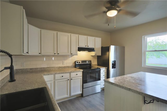 1226 Bellevue Ave, Eau Claire, WI 54703 - kitchen with appliances with stainless steel finishes, under cabinet range hood, a sink, wood finished floors, and decorative backsplash