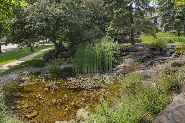 6758 Raymond Rd Unit 109, Madison, WI 53719 - view of yard