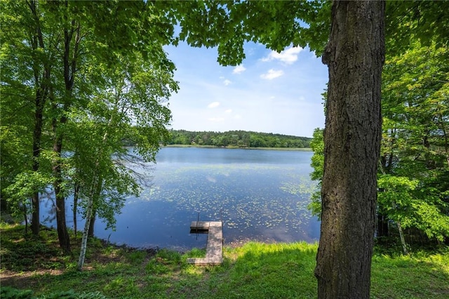 water view featuring a dock