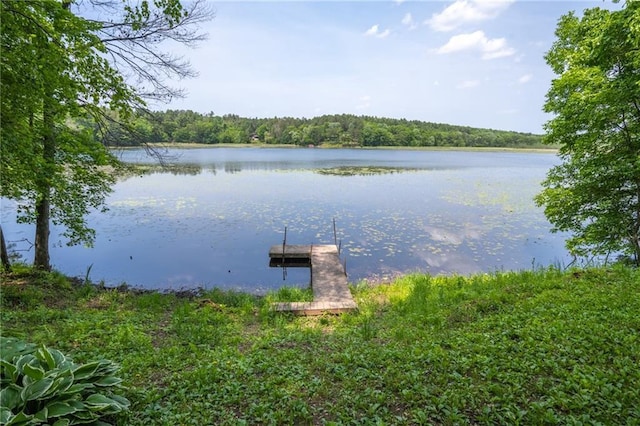 dock area with a water view and a view of trees