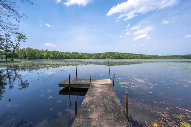 dock area featuring a water view and a view of trees