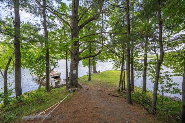 view of yard with a water view