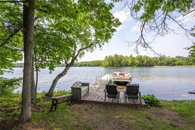 dock area with a water view