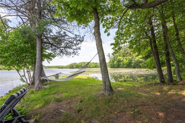 view of yard featuring a water view