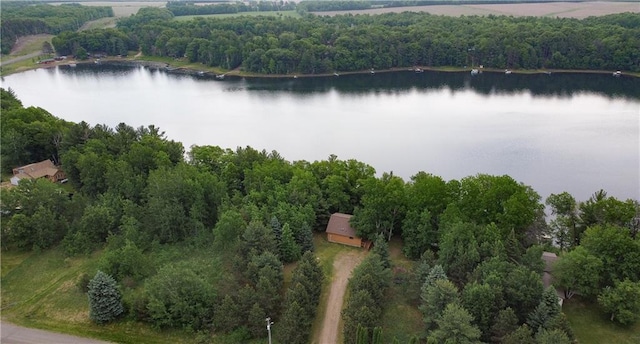 24730 Scenic View Ln, Spooner, WI 54801 - bird's eye view of a nearby body of water and a heavily wooded area