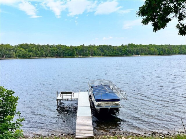 24730 Scenic View Ln, Spooner, WI 54801 - dock area with a water view and a view of trees