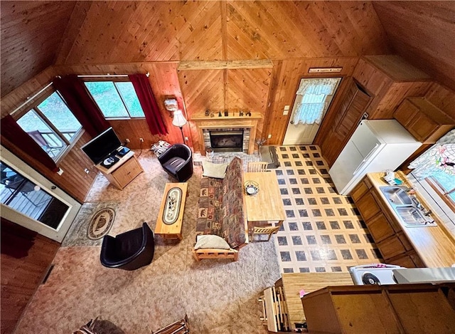 24730 Scenic View Ln, Spooner, WI 54801 - living area featuring lofted ceiling, wooden walls, and a glass covered fireplace