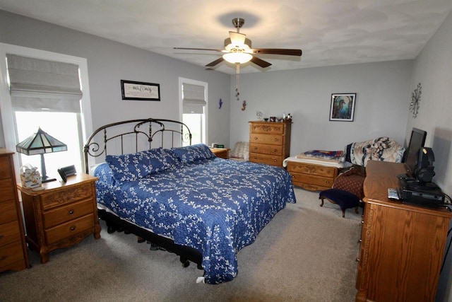 2253 Walnut St, Beloit, WI 53511 - bedroom with carpet floors and a ceiling fan