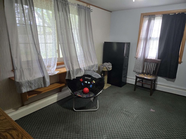 4817 Morgan Dr, Manitowoc, WI 54220 - miscellaneous room featuring carpet floors