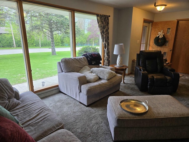4817 Morgan Dr, Manitowoc, WI 54220 - living area with carpet