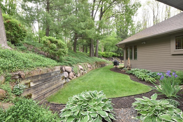 9111 400th Ct, Genoa City, WI 53128 - view of green lawn