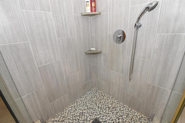 9111 400th Ct, Genoa City, WI 53128 - full bath featuring tiled shower