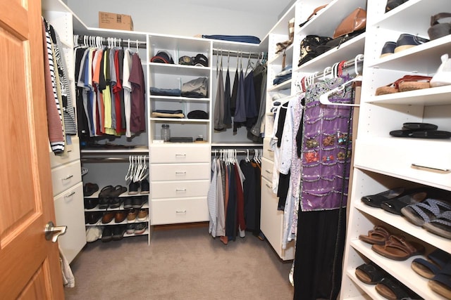 9111 400th Ct, Genoa City, WI 53128 - walk in closet with carpet