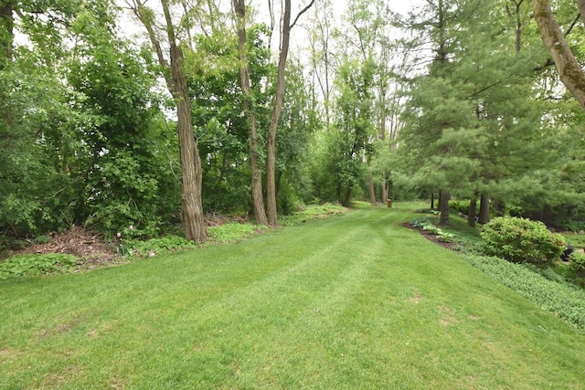 9111 400th Ct, Genoa City, WI 53128 - view of green lawn with a wooded view