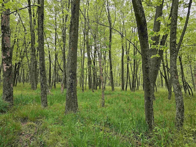 Koplien Rd, Weyauwega, WI 54983