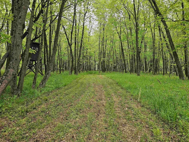 Koplien Rd, Weyauwega, WI 54983