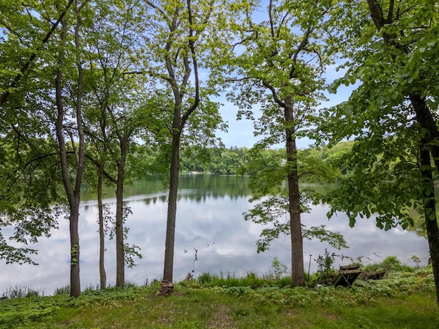 W3847 Timber Lake Rd, East Troy, WI 53120 - water view