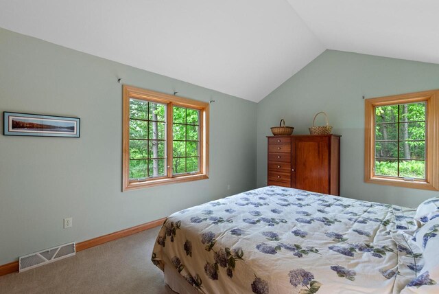 W3847 Timber Lake Rd, East Troy, WI 53120 - carpeted bedroom featuring multiple windows, lofted ceiling, and baseboards