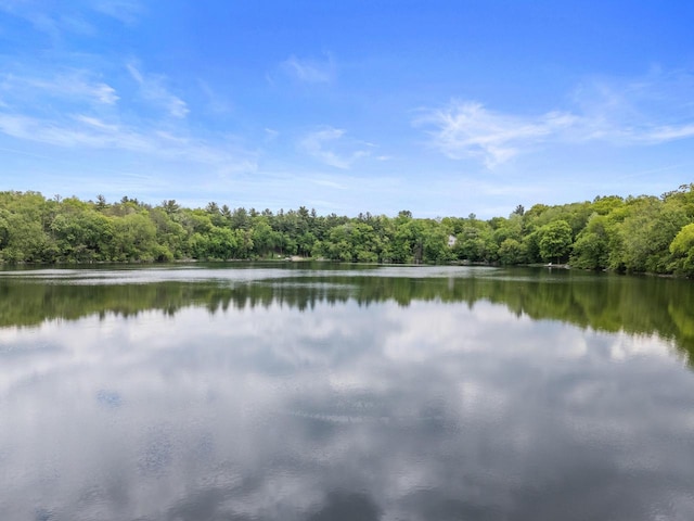 W3847 Timber Lake Rd, East Troy, WI 53120 - water view featuring a forest
