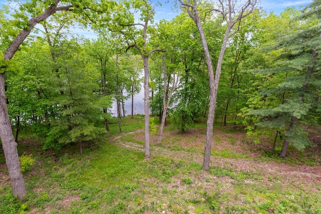 W3847 Timber Lake Rd, East Troy, WI 53120 - view of yard