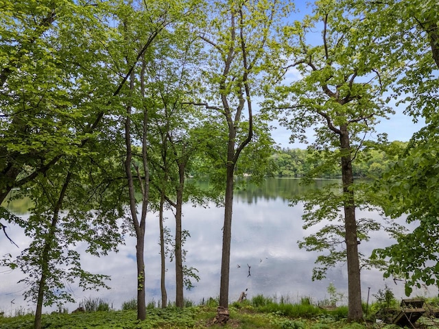 W3847 Timber Lake Rd, East Troy, WI 53120 - water view