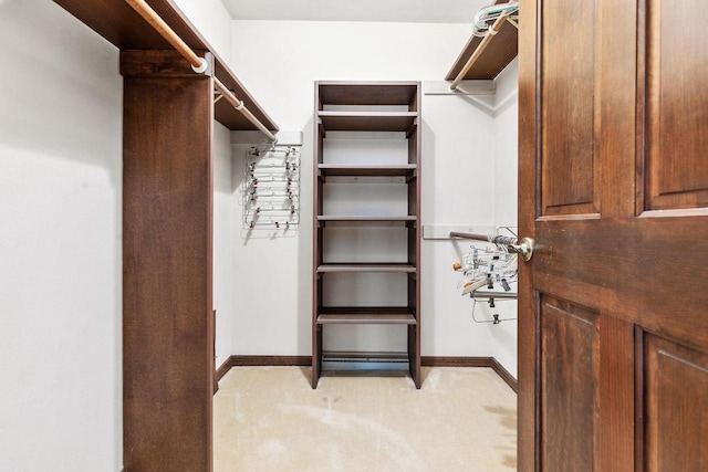 28 W Lake Rd, Menasha, WI 54952 - view of spacious closet