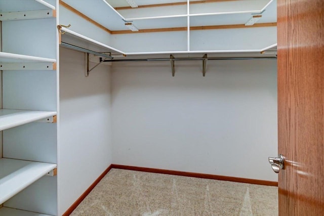 2040 Continental Ln, Cross Plains, WI 53528 - walk in closet with carpet