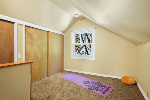 129 Division St, Madison, WI 53704 - bonus room with carpet and vaulted ceiling