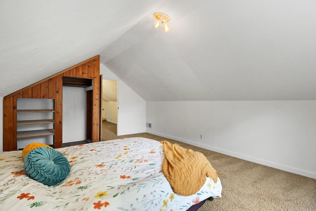 129 Division St, Madison, WI 53704 - carpeted bedroom with lofted ceiling and wood walls