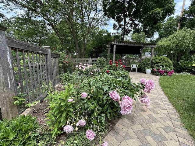 129 Division St, Madison, WI 53704 - view of yard with a pergola and a patio