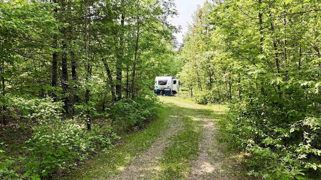 N1255 Spirit Island Trl, Keshena, WI 54135