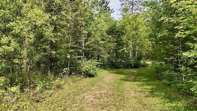 N1255 Spirit Island Trl, Keshena, WI 54135