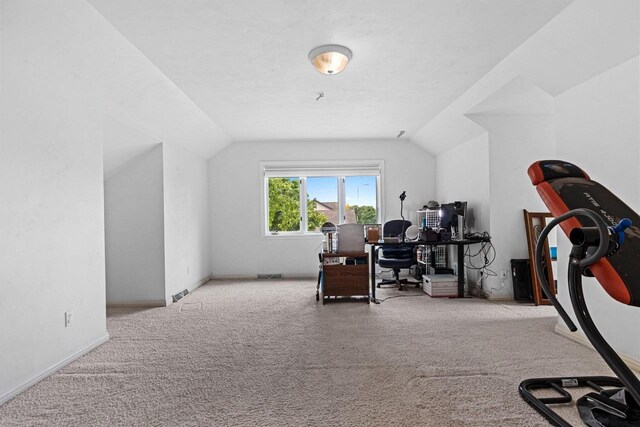 139 Sullivan Ln, De Pere, WI 54115 - carpeted office featuring vaulted ceiling and baseboards