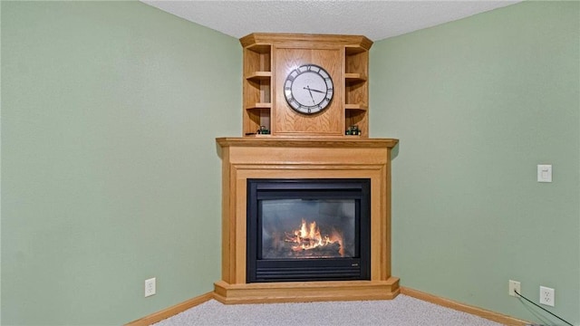 E3313 Jennifer Ln, Eau Claire, WI 54701 - detailed view of carpet flooring, a glass covered fireplace, and baseboards