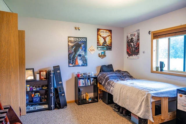 2371 Doris Rd, Reedsburg, WI 53959 - bedroom featuring carpet