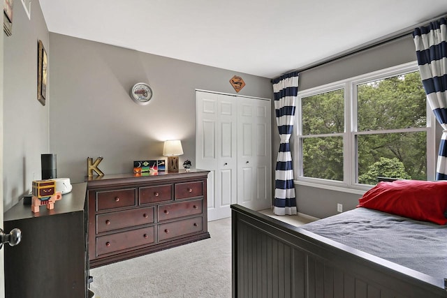 20506 83rd Pl, Bristol, WI 53104 - bedroom featuring light colored carpet and a closet