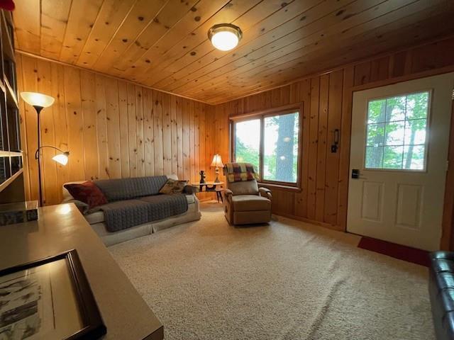 11176 W Plover Ln, Hayward, WI 54843 - living room with wood ceiling, wood walls, and carpet floors