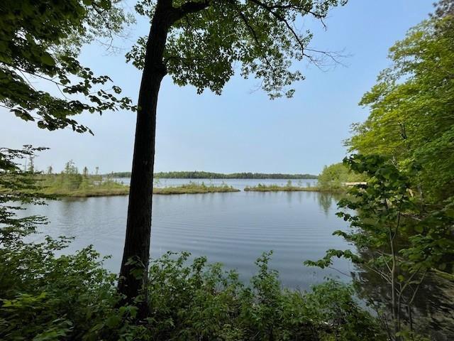 11176 W Plover Ln, Hayward, WI 54843 - water view