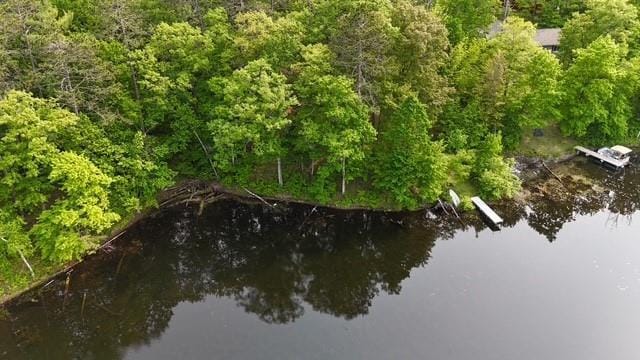11176 W Plover Ln, Hayward, WI 54843 - water view