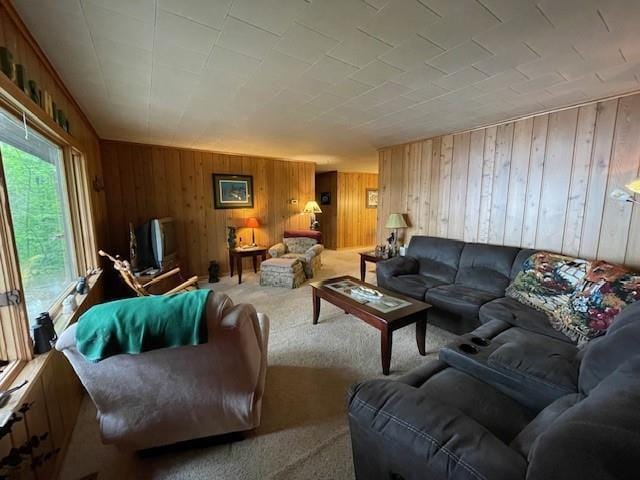 11176 W Plover Ln, Hayward, WI 54843 - living room featuring carpet floors and wooden walls