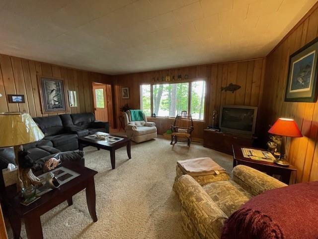 11176 W Plover Ln, Hayward, WI 54843 - living area featuring carpet flooring and wood walls