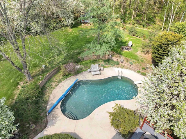 4514 Mohawk Ct, Green Bay, WI 54313 - swimming pool featuring a patio and a diving board